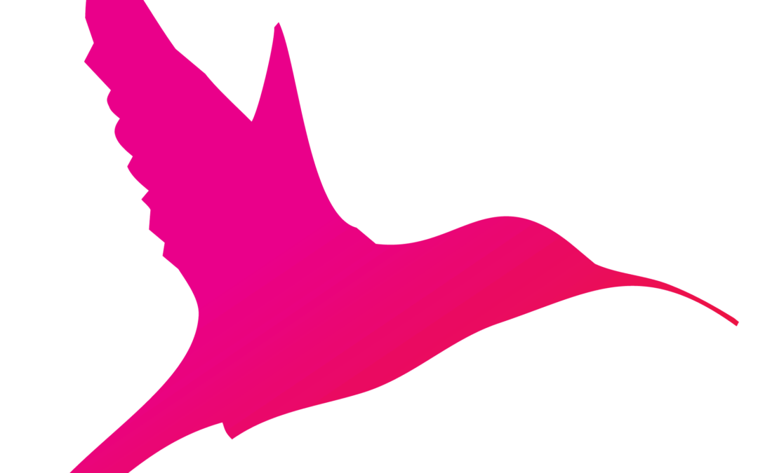 Graphic of our Hummingbird (logo symbol) for Design House